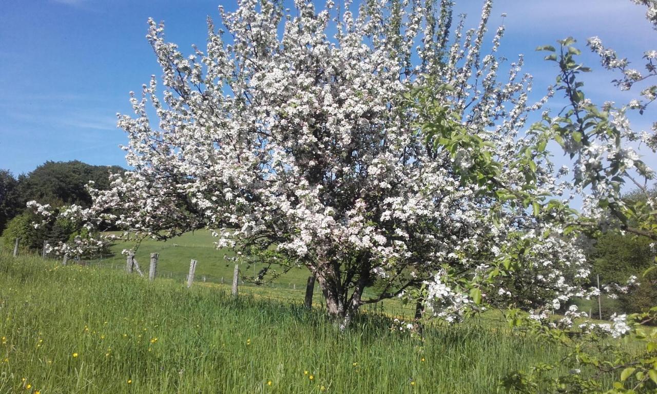 Gite Les Hirondelles Plombières-les-Bains Εξωτερικό φωτογραφία